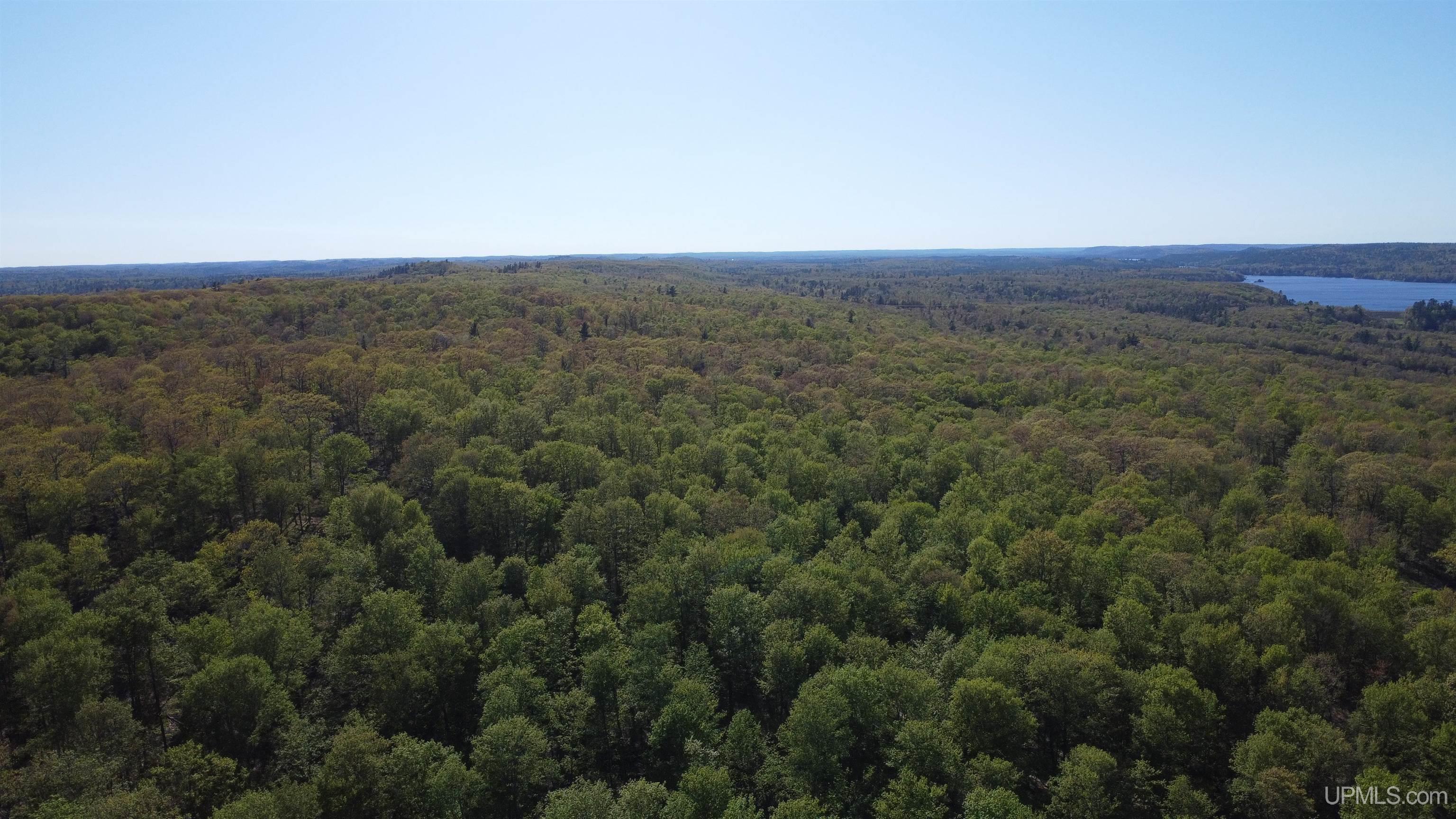 Off Off Hoist Road Negaunee, MI 49866 - Photo 32 of 45