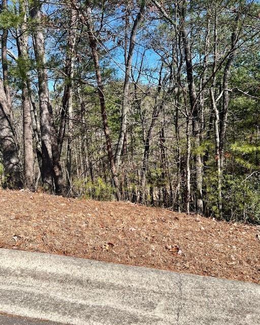 a view of a yard covered with snow in front of house
