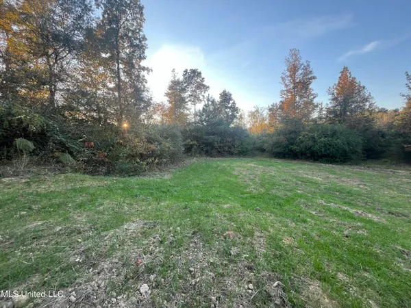 $600,000 | 0 St Thomas Parkway, Bolton, MS 39041