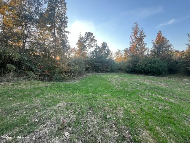 $600,000 | 0 St Thomas Parkway, Bolton, MS 39041