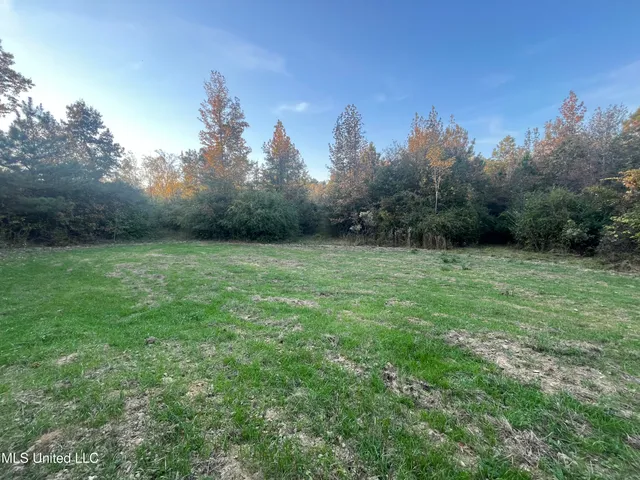 $600,000 | 0 St Thomas Parkway, Bolton, MS 39041