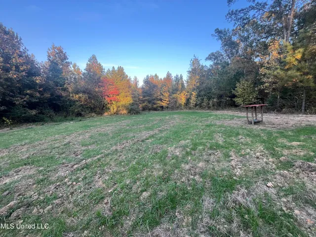 $600,000 | 0 St Thomas Parkway, Bolton, MS 39041