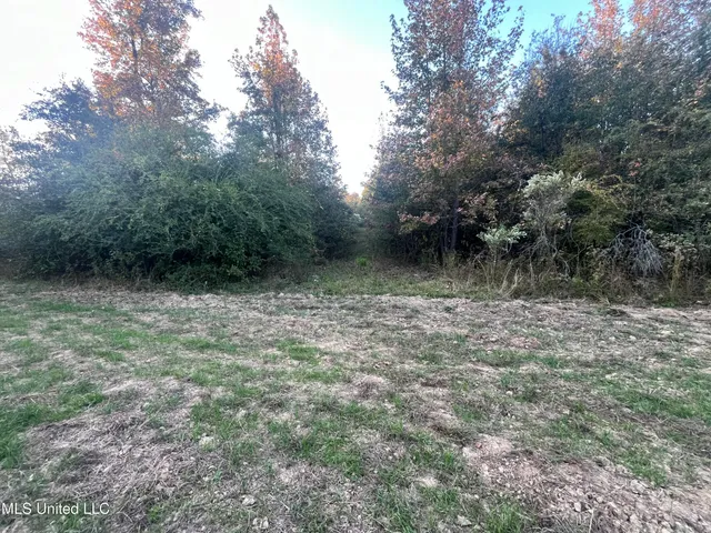 $600,000 | 0 St Thomas Parkway, Bolton, MS 39041