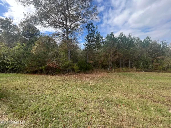 $600,000 | 0 St Thomas Parkway, Bolton, MS 39041