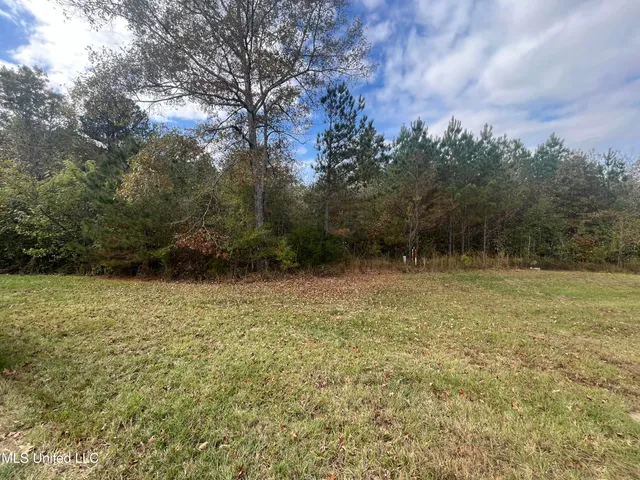$600,000 | 0 St Thomas Parkway, Bolton, MS 39041