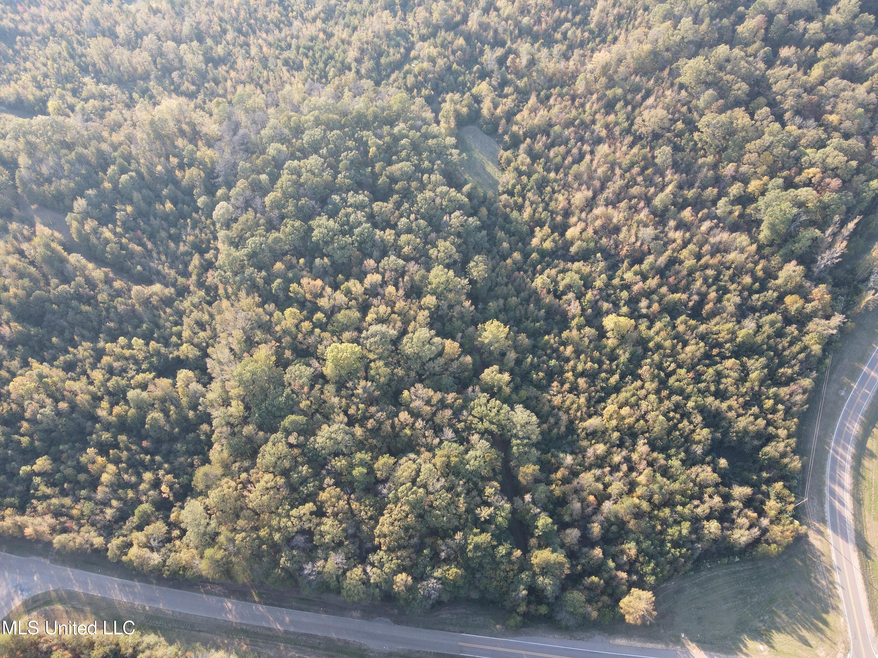 0 St Thomas Parkway Bolton, MS 39041 - Photo 37 of 50 dji_fly_20241028_165656_812_173015264162