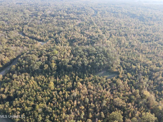 $600,000 | 0 St Thomas Parkway, Bolton, MS 39041