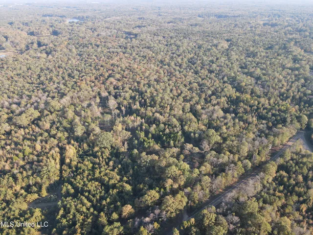 $600,000 | 0 St Thomas Parkway, Bolton, MS 39041