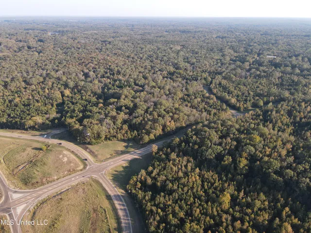 $600,000 | 0 St Thomas Parkway, Bolton, MS 39041