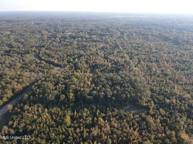 $600,000 | 0 St Thomas Parkway, Bolton, MS 39041