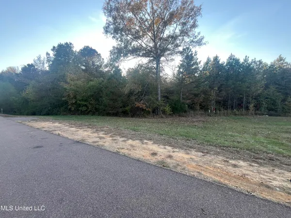 $600,000 | 0 St Thomas Parkway, Bolton, MS 39041