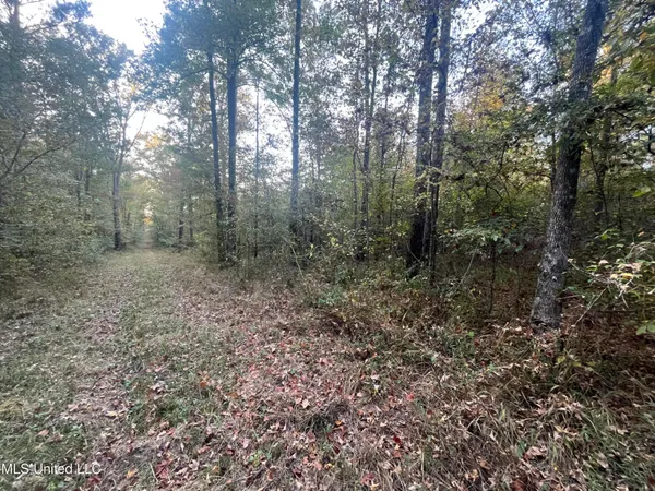 $600,000 | 0 St Thomas Parkway, Bolton, MS 39041