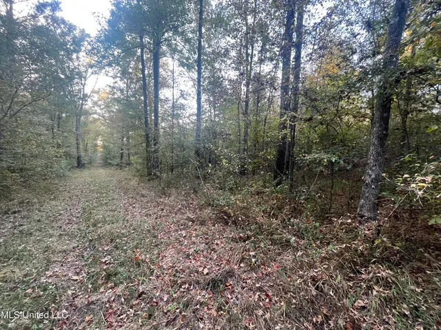 $600,000 | 0 St Thomas Parkway, Bolton, MS 39041