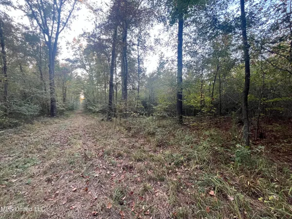 $600,000 | 0 St Thomas Parkway, Bolton, MS 39041