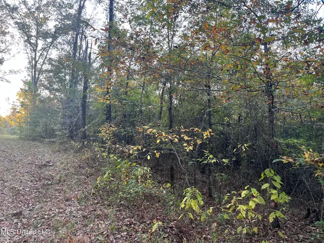 $600,000 | 0 St Thomas Parkway, Bolton, MS 39041