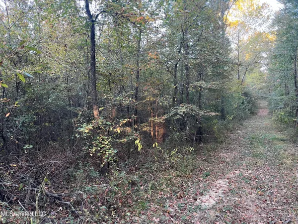 $600,000 | 0 St Thomas Parkway, Bolton, MS 39041