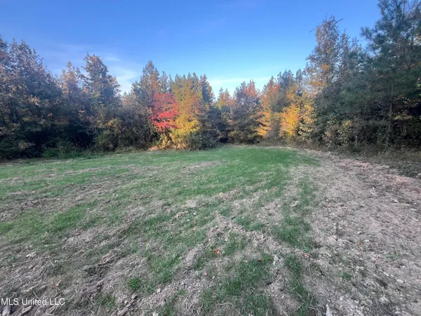 $600,000 | 0 St Thomas Parkway, Bolton, MS 39041