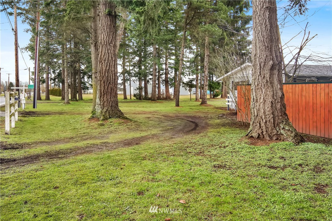 171 East Pole Road Lynden, WA 98264 - Photo 38 of 39 a view of backyard with tree