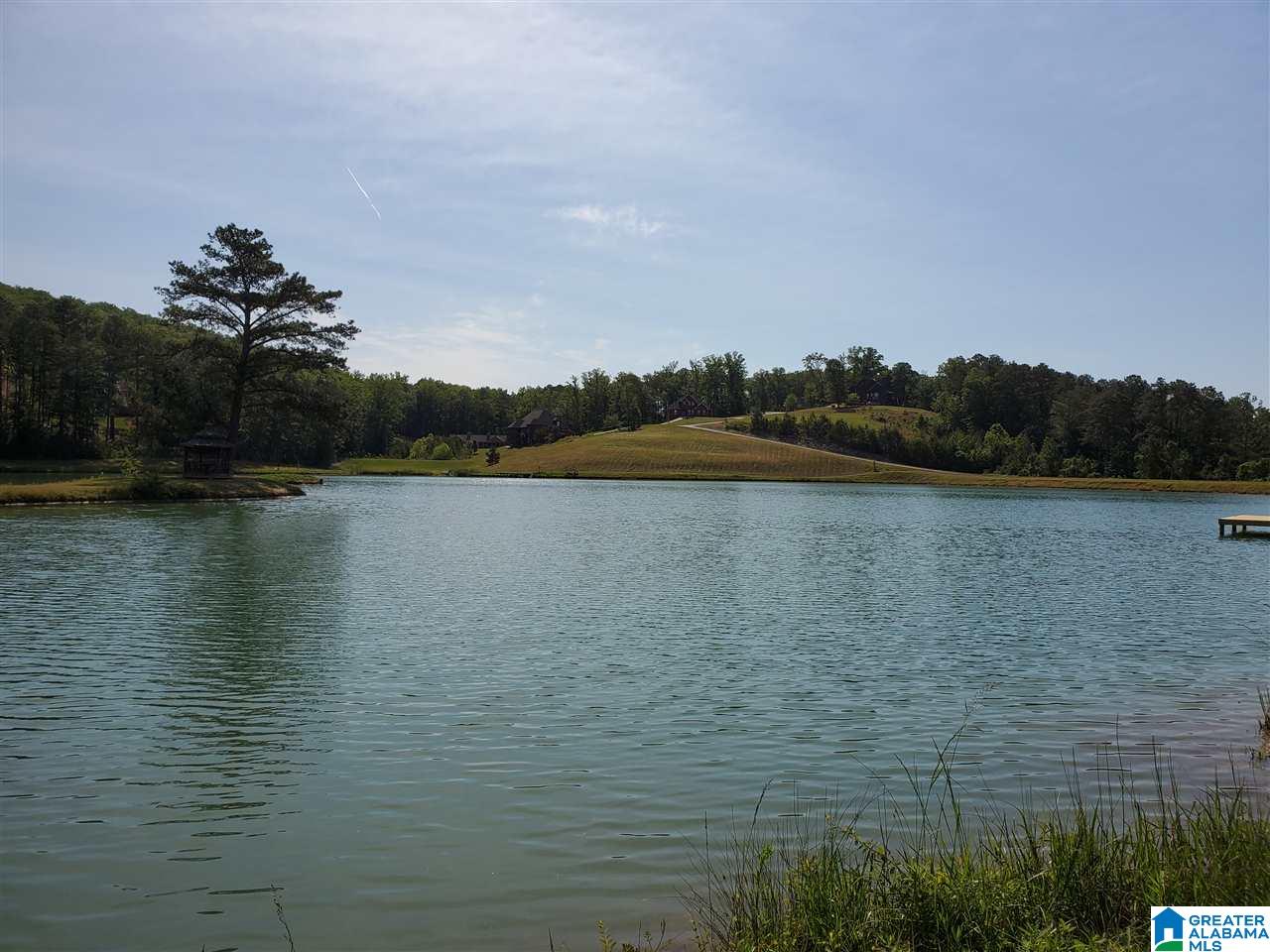120 Preserve Way, Unit 87 Springville, AL 35146 - Photo 1 of 4