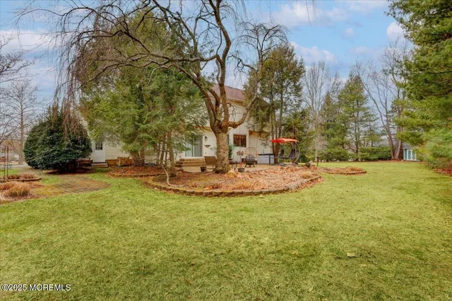 a view of a park with large trees