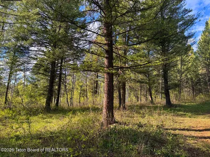 $98,000 | Lot 83 Oak Drive, Star Valley Ranch, WY 83127