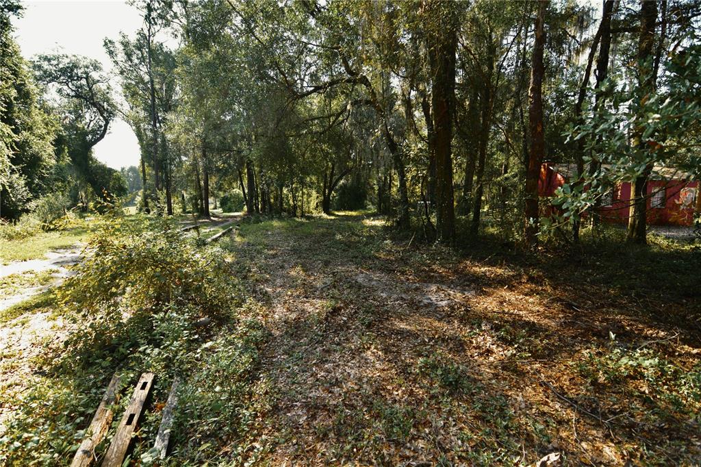 0 Hall Lake Road Keystone Heights, FL 32656 - Photo 27 of 39 Gallery Image 27