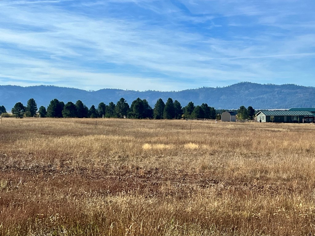 L10 Philadelphia Lane, Unit 10 Cascade, ID 83611 - Photo 6 of 11 Quick Access to Boise