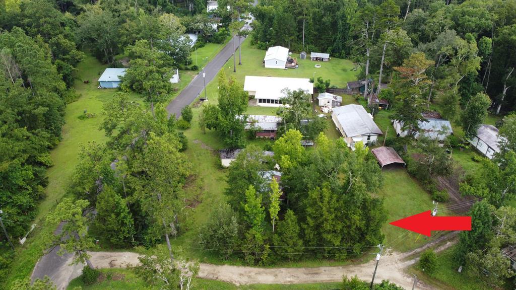 38 Bryant Landing Road Wewahitchka, FL 32465 - Photo 2 of 10