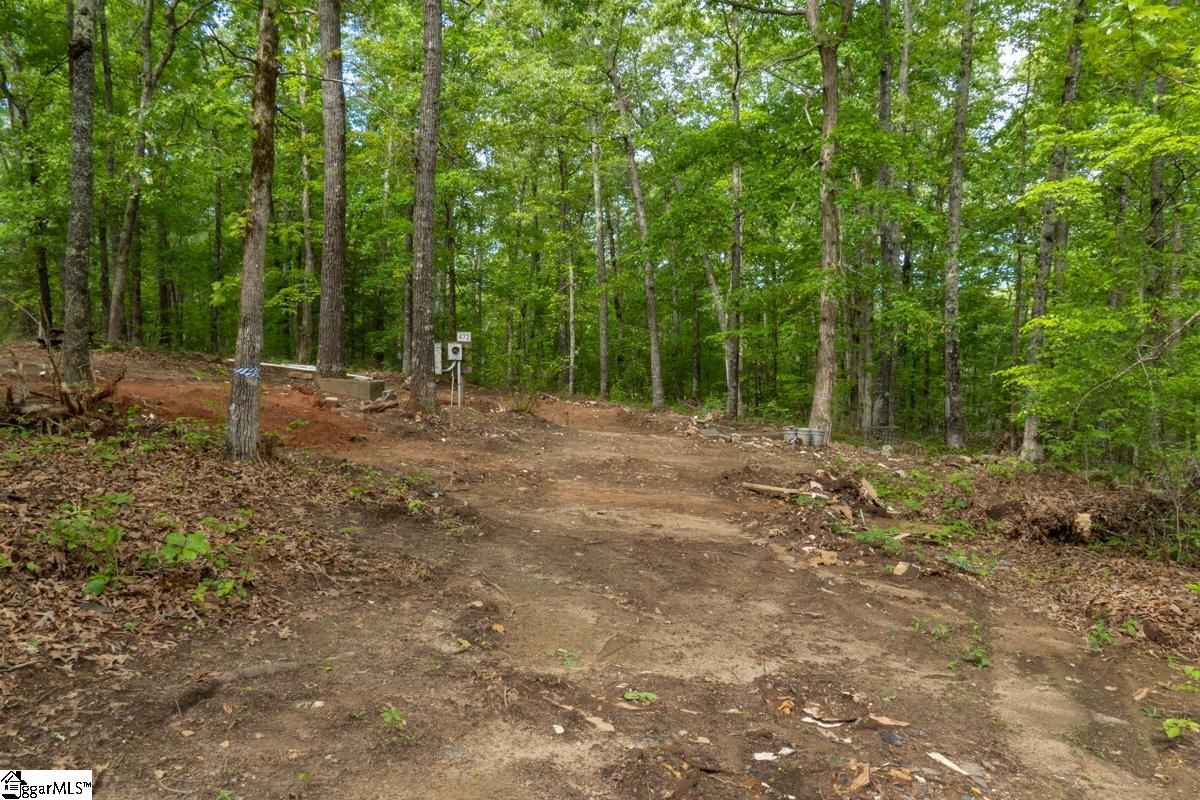 492 Flat Rock Road, Unit TRACT B Liberty, SC 29657 - Photo 2 of 10