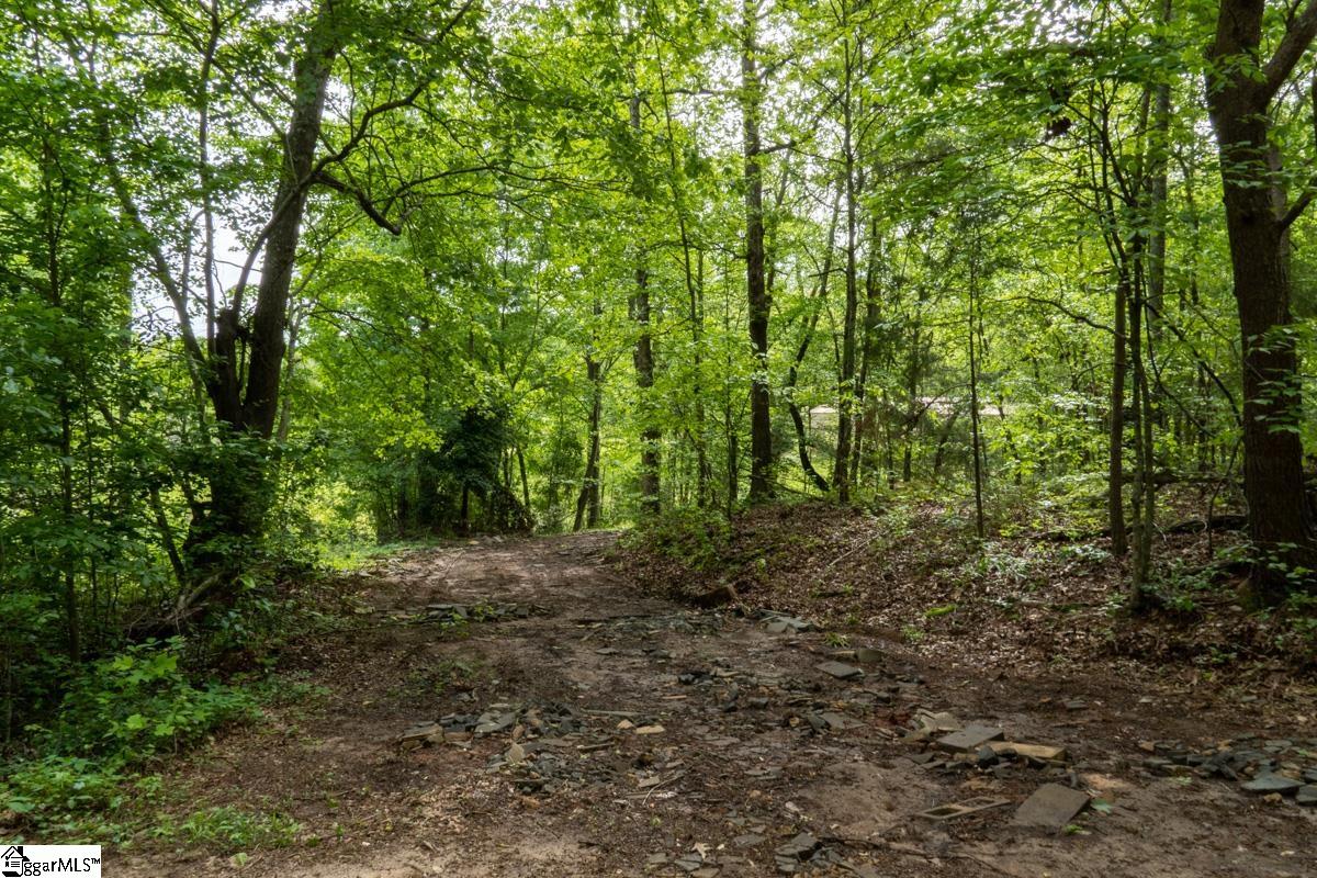 492 Flat Rock Road, Unit TRACT B Liberty, SC 29657 - Photo 3 of 10
