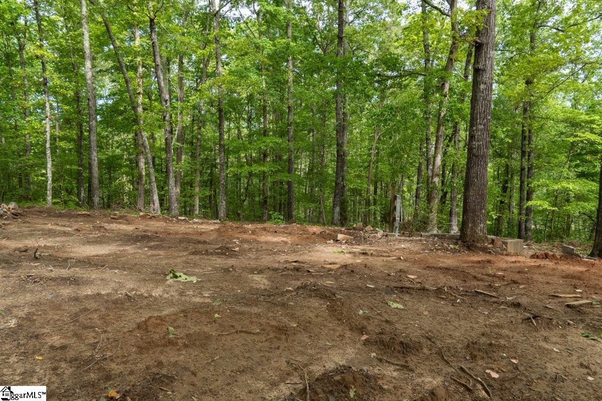 492 Flat Rock Road, Unit TRACT B Liberty, SC 29657 - Photo 4 of 10