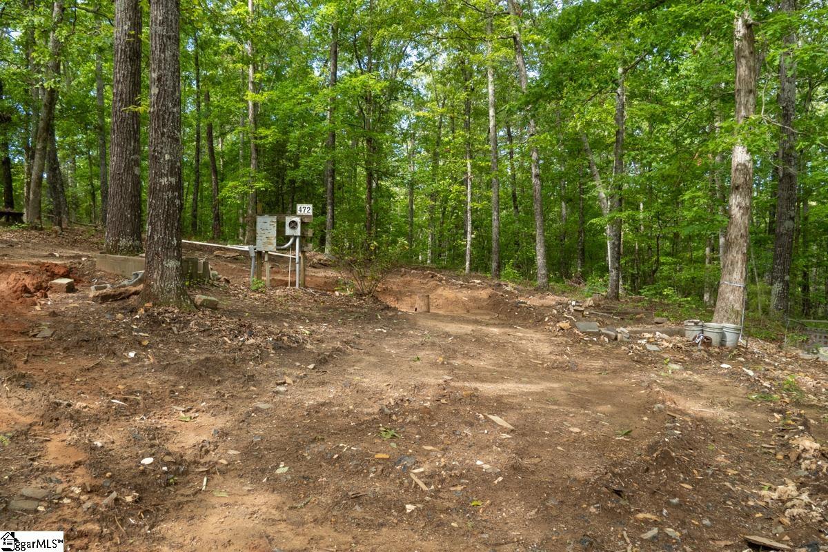 492 Flat Rock Road, Unit TRACT B Liberty, SC 29657 - Photo 5 of 10