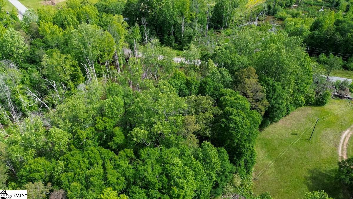 492 Flat Rock Road, Unit TRACT B Liberty, SC 29657 - Photo 8 of 10
