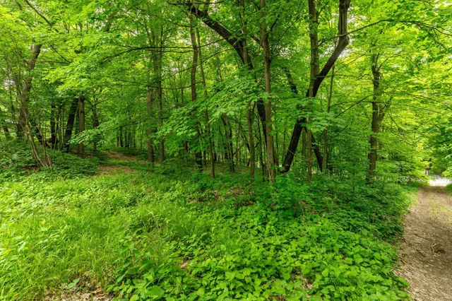 $450,000 | 22054 Nirvana Trail, Vining, MN 56588