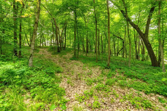 $450,000 | 22054 Nirvana Trail, Vining, MN 56588