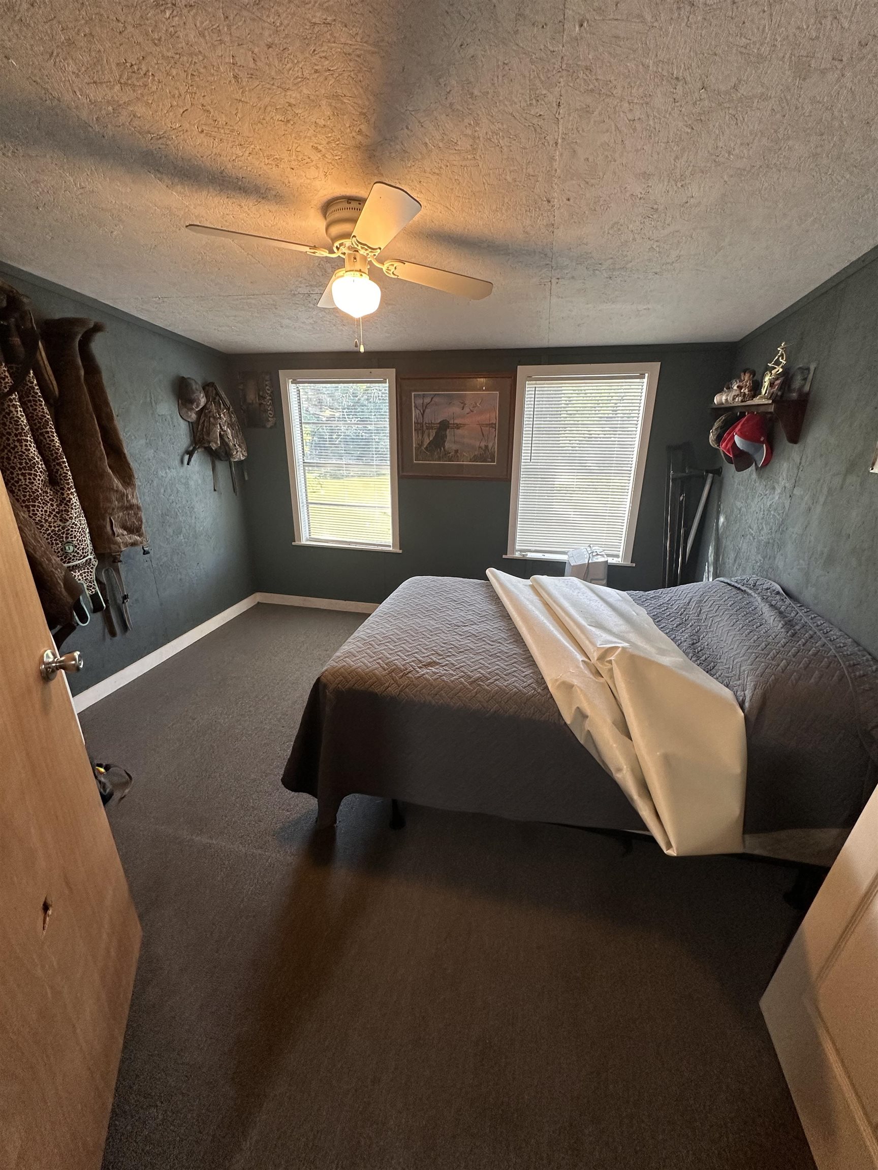 481 Chisholm Lake Camp Road Ripley, TN 38063 - Photo 6 of 12 Interior room featuring two windows, carpeted flooring, a ceiling fan with light fixture, and dark wall finishes