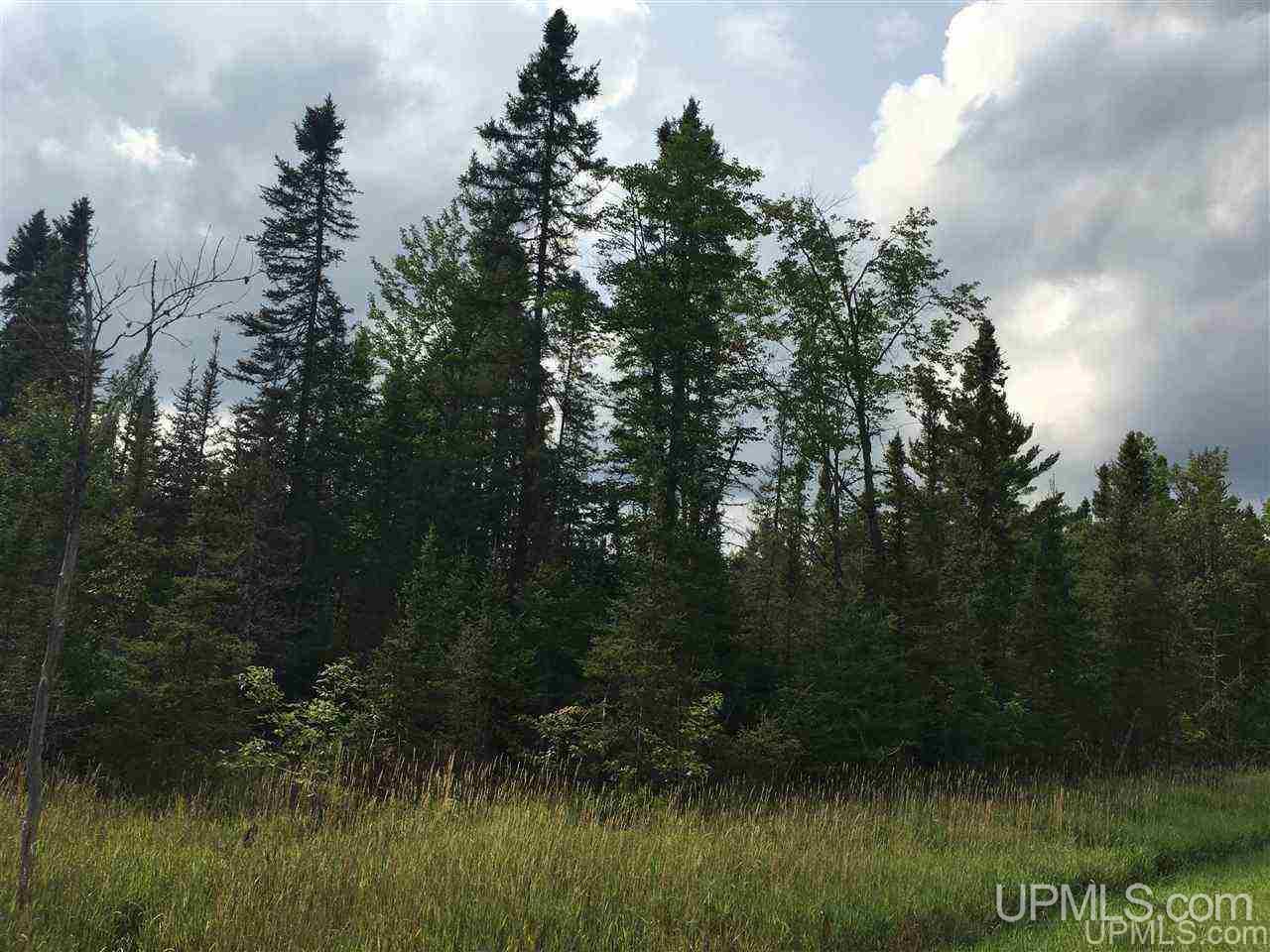 M35 Ne Negaunee, MI 49866 - Photo 17 of 17 Gallery Image 17