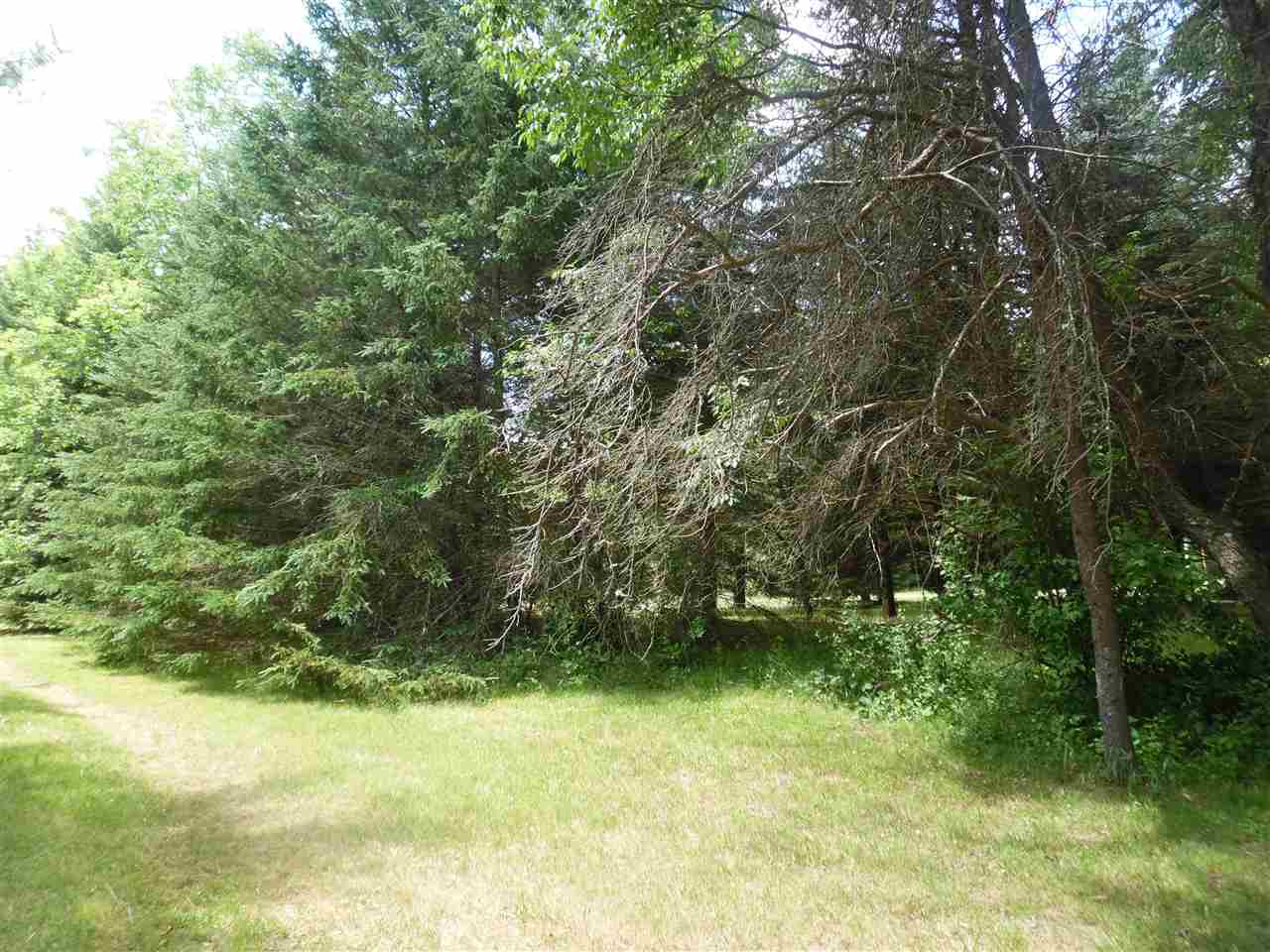 11522 Mulder Road Falmouth, MI 49632 - Photo 18 of 40 1819787-20.JPG