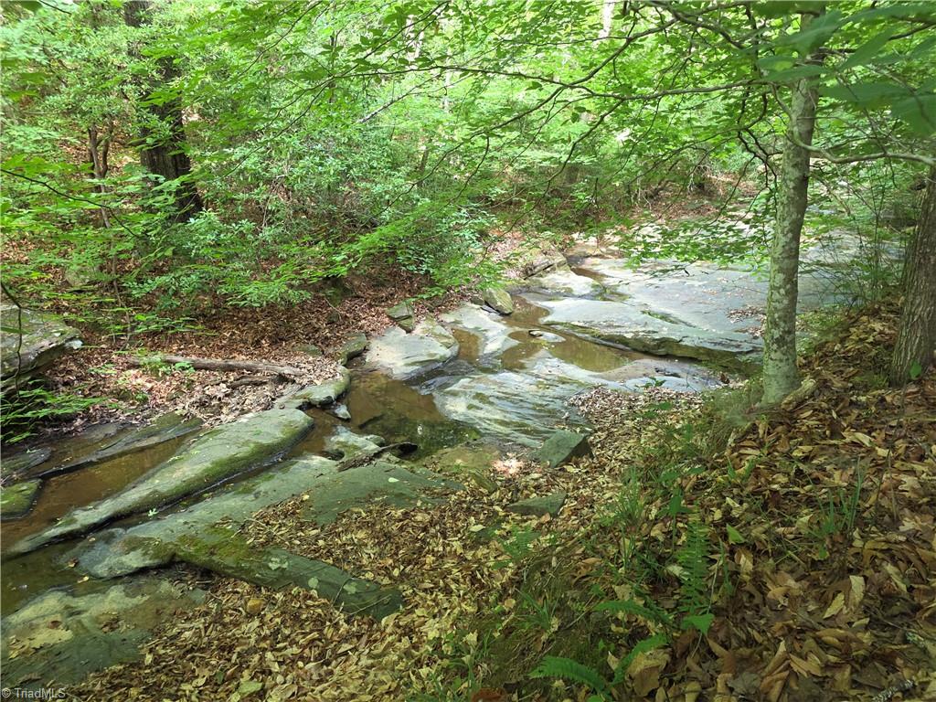 Xx 31.85-ac Xx 31.85-ac Hampton Road Germanton, NC 27019 - Photo 27 of 33