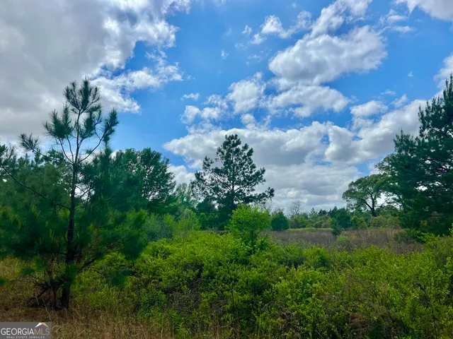 a view of a lake with a tree in the background