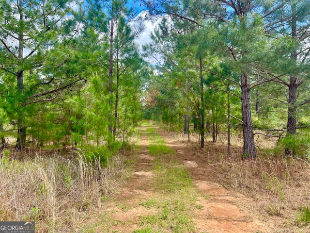 a view of a city and trees