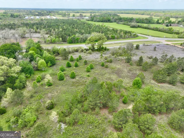 a view of a big yard with plants and large trees