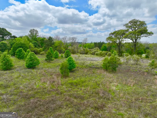 a view of a big yard with large trees