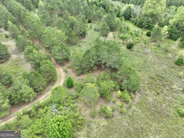 a view of a lush green field