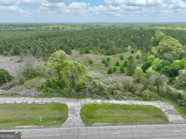 a view of a garden from a window