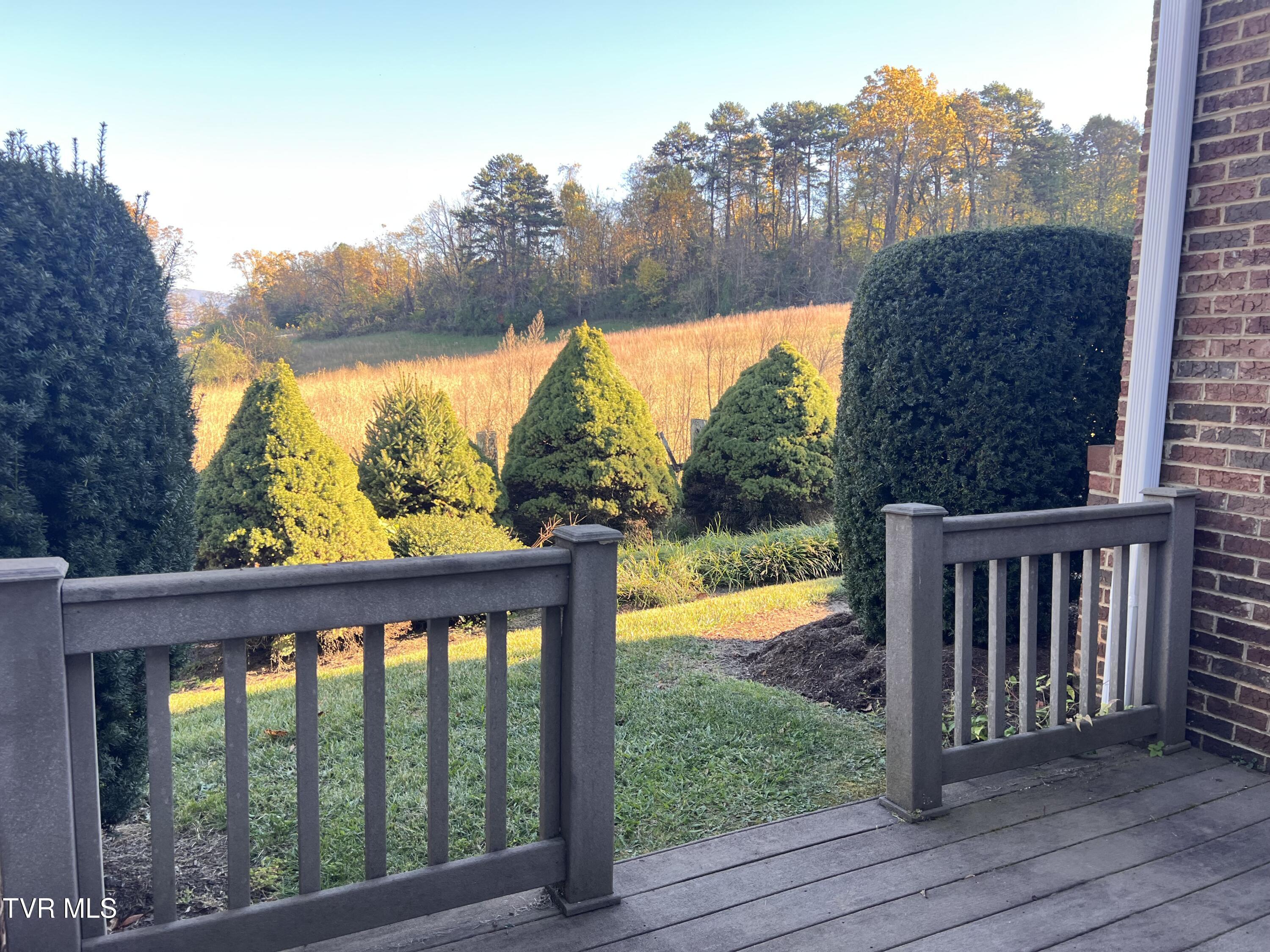 1705 Veranda Court, Unit 23 Greeneville, TN 37745 - Photo 46 of 53 1705 VERANDA - 00150