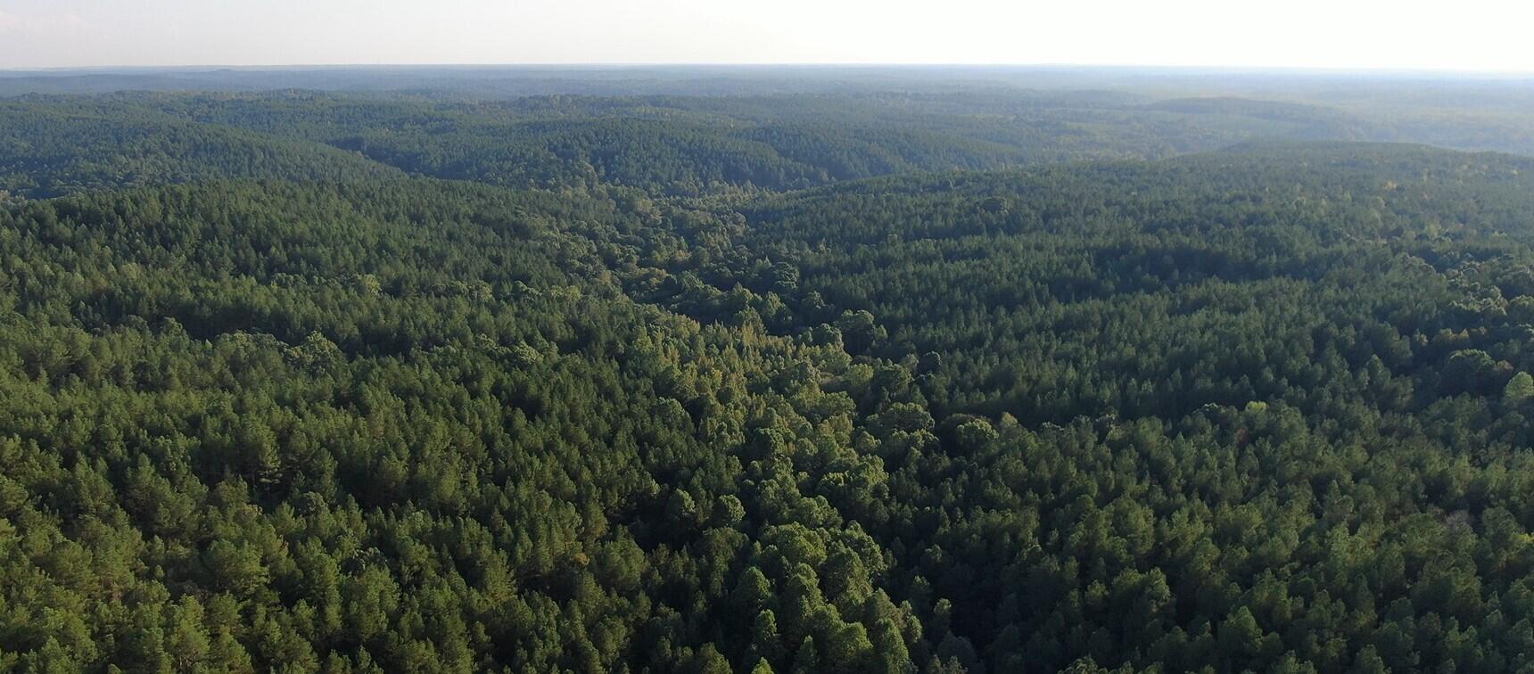 762 Co Road Walnut, MS 38683 - Photo 35 of 41 Screenshot 2024-09-23 084046