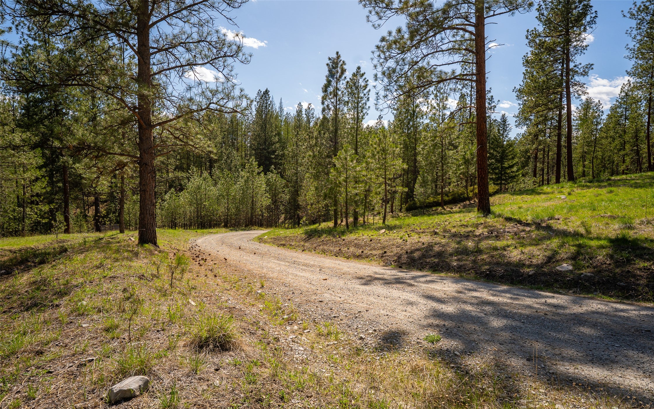 3185 Hubbart Dam Road Marion, MT 59925 - Photo 99 of 105 Gallery Image 99