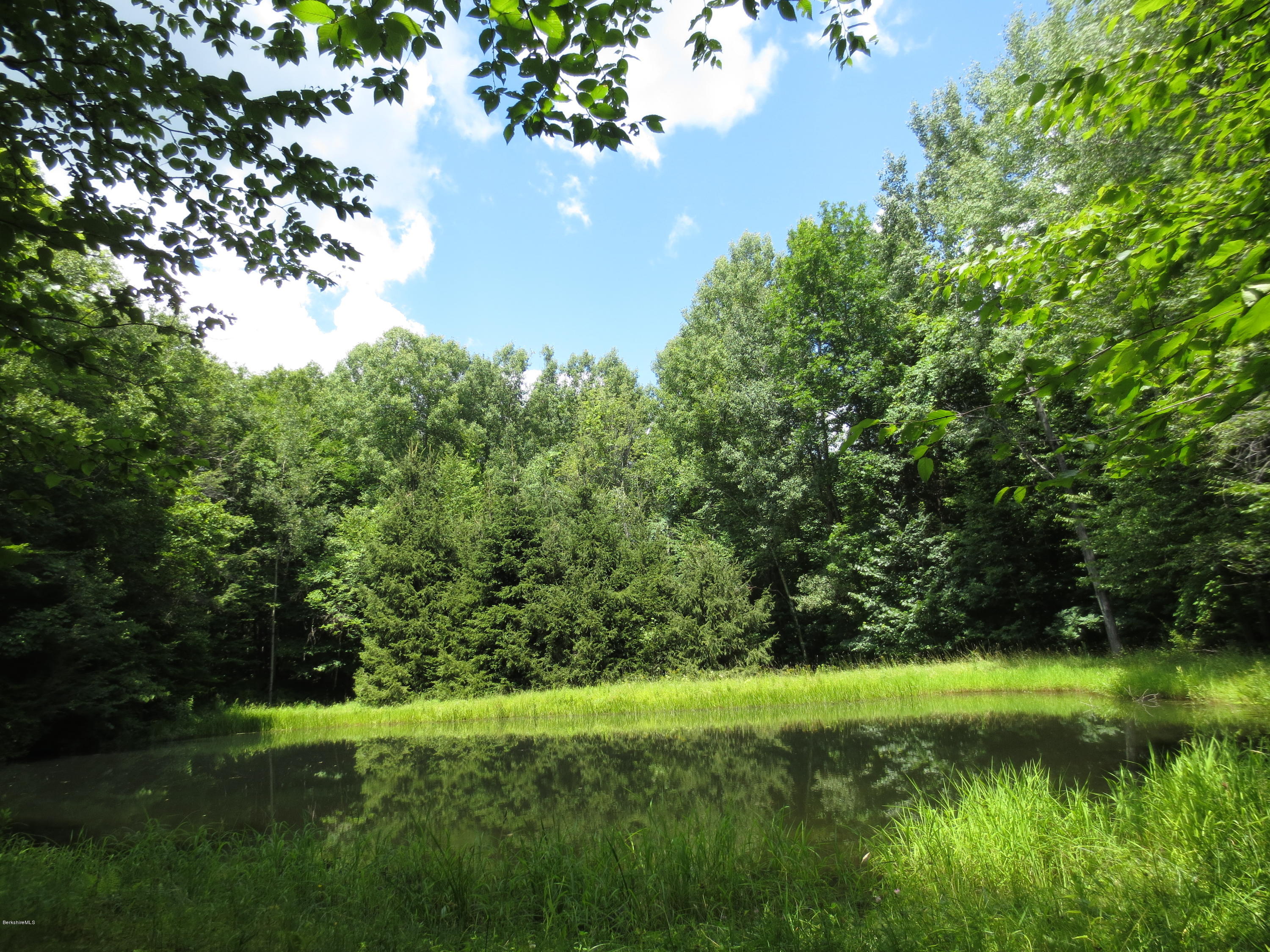 87 Crane Road Chester, MA 01011 - Photo 16 of 16 a view of a garden with a tree