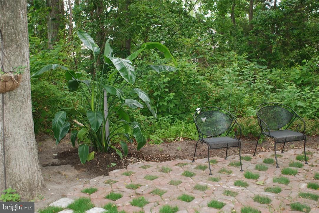 34175 High Knoll Road Lewes, DE 19958 - Photo 6 of 50 Gallery Image 6